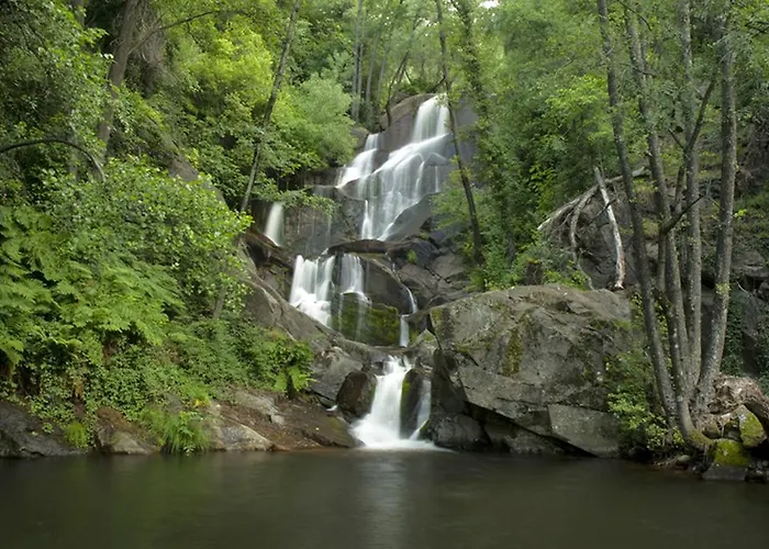 De Amonaria * Malpartida De Plasencia