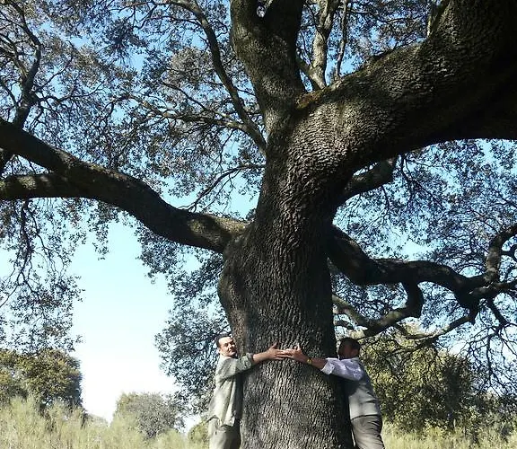 Casa di campagna De Amonaria Malpartida De Plasencia